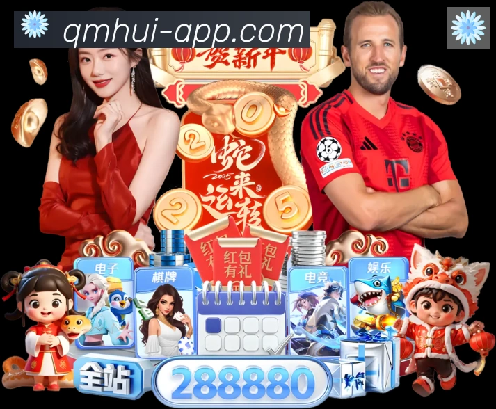 未来规划